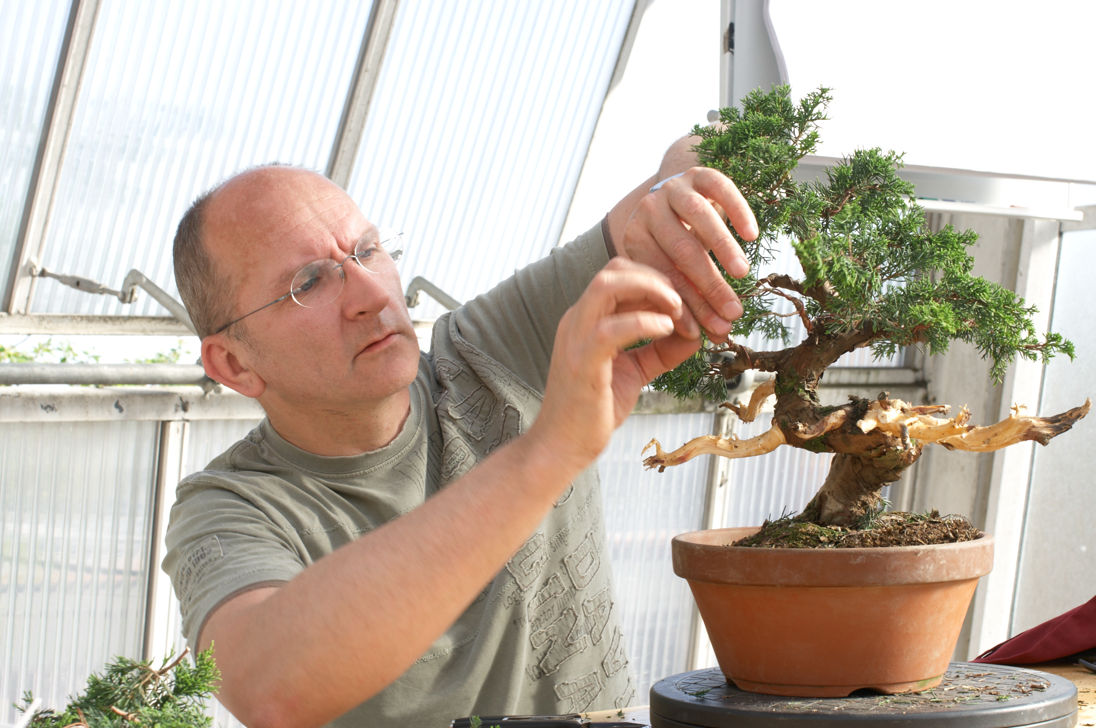 BCB_2011_156 BCB_2011_156